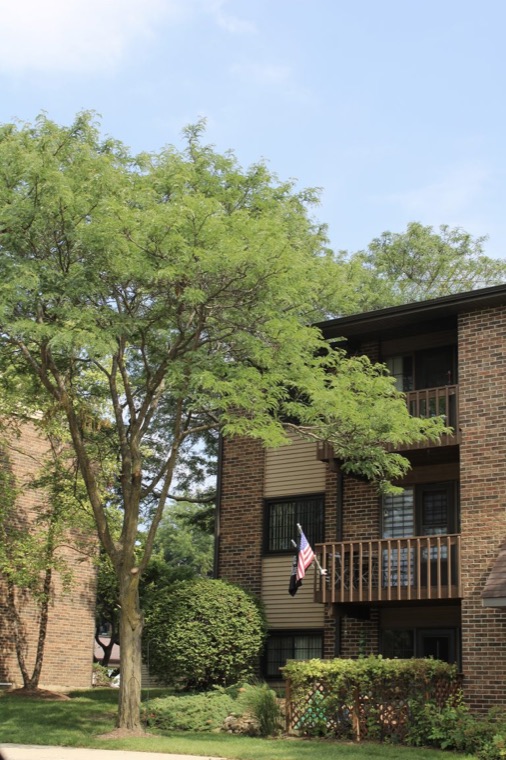 A Woodcreek apartment building among mature trees